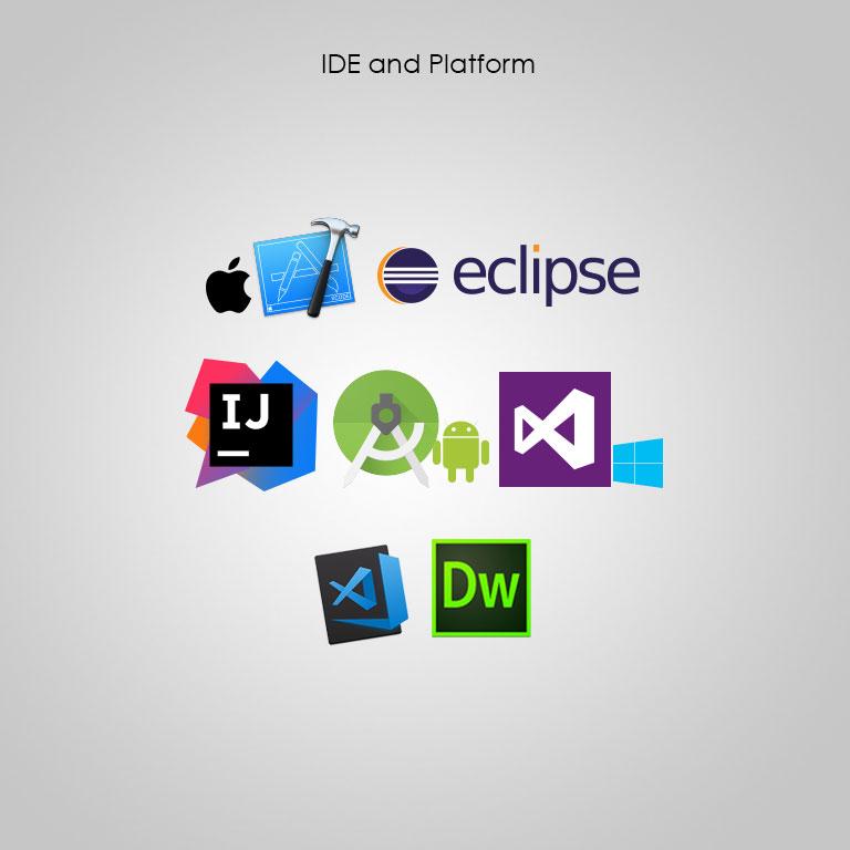 Platform and IDE